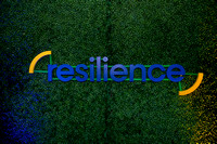 Resilience Insurance